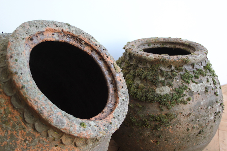 Mossy Pots - Image 7