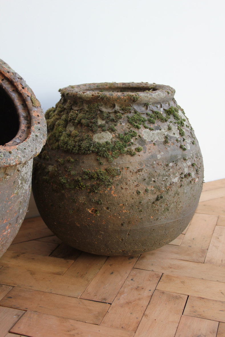 Mossy Pots - Image 3