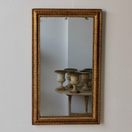 French Mirror C19th